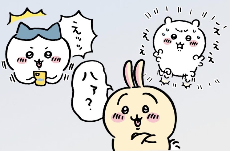 アップロード画像