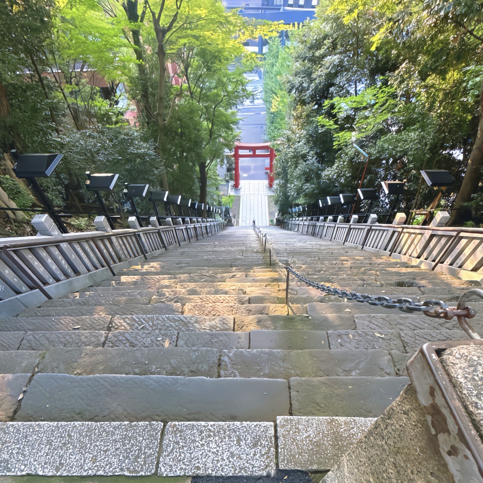 アップロード画像