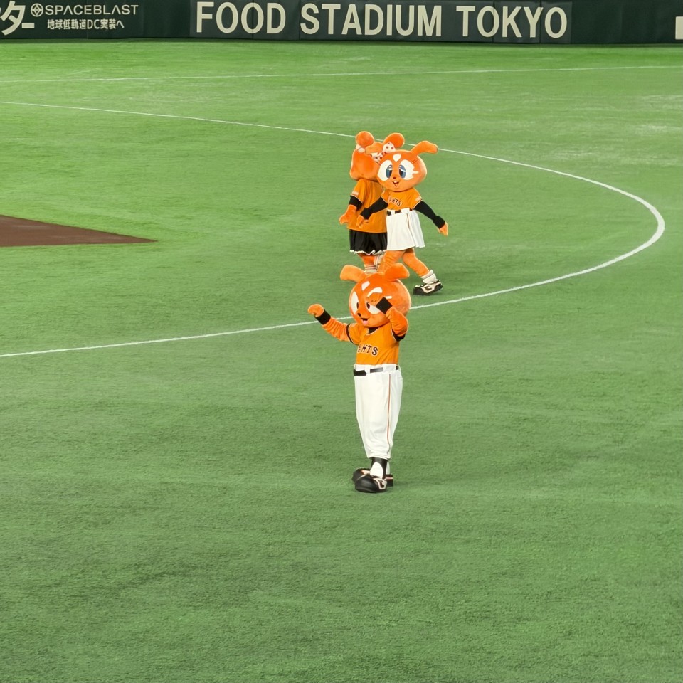 アップロード画像