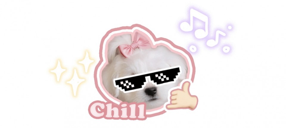 アップロード画像