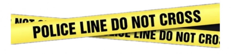 アップロード画像