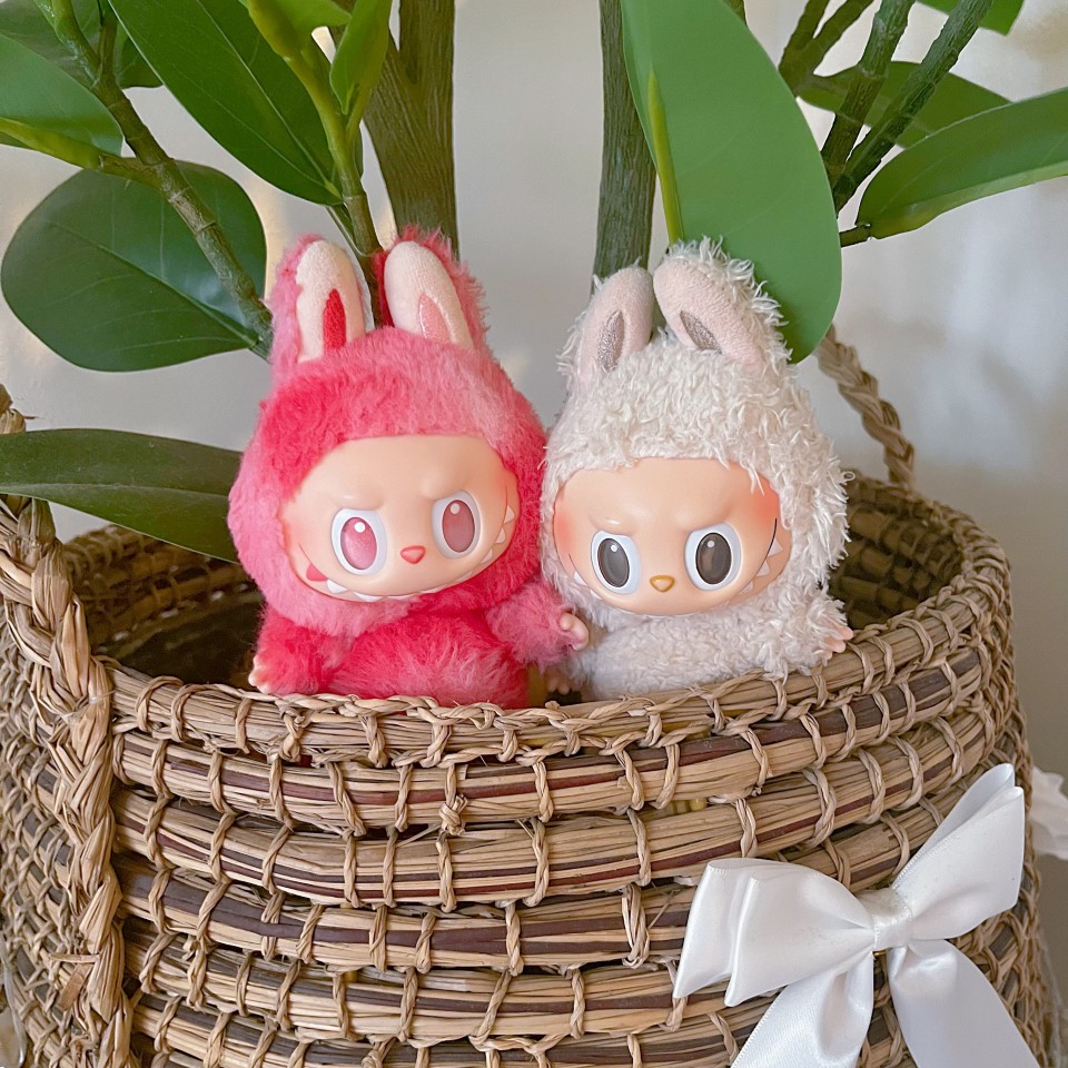 アップロード画像