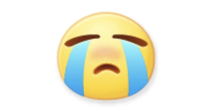 アップロード画像