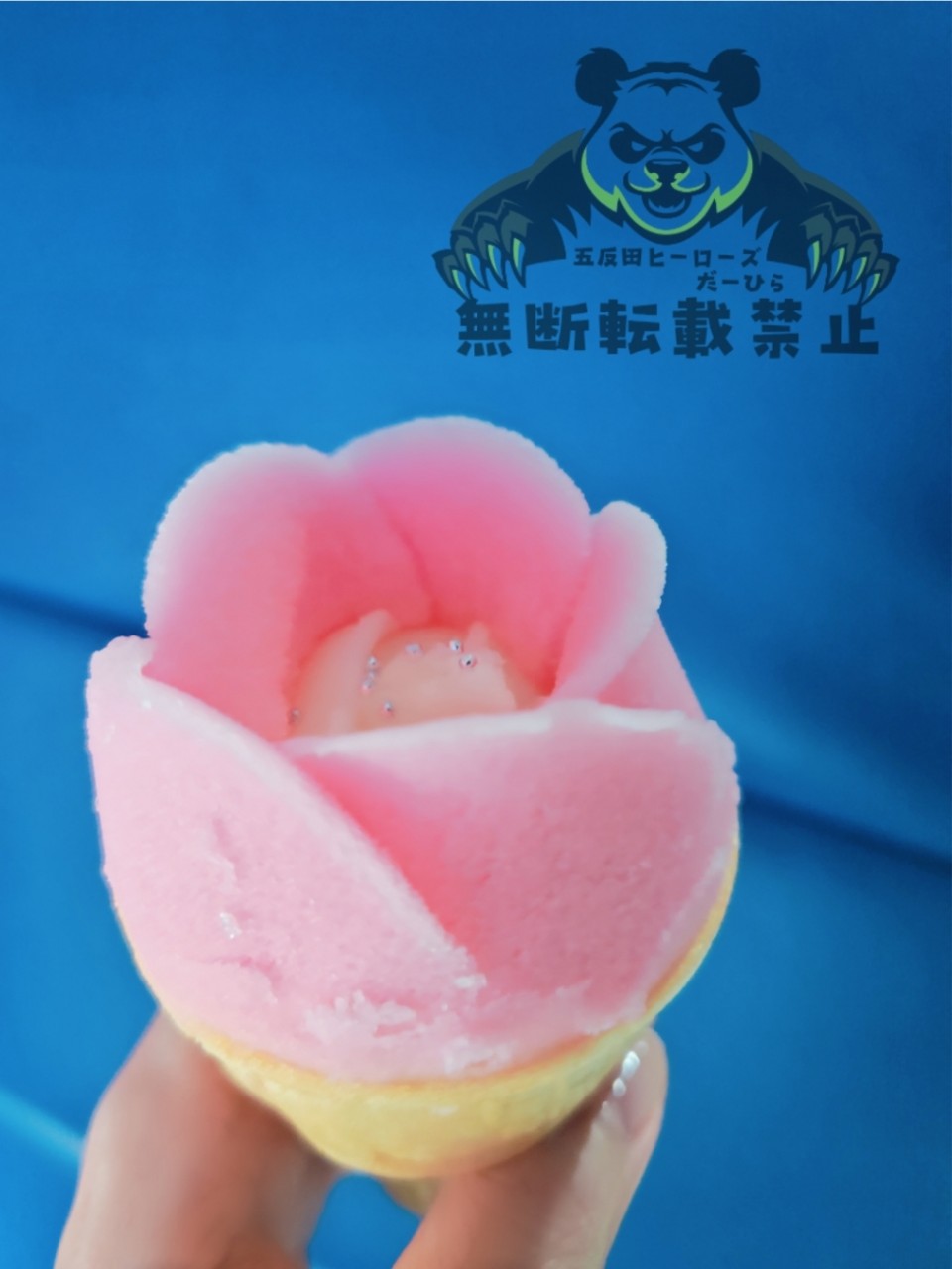 アップロード画像