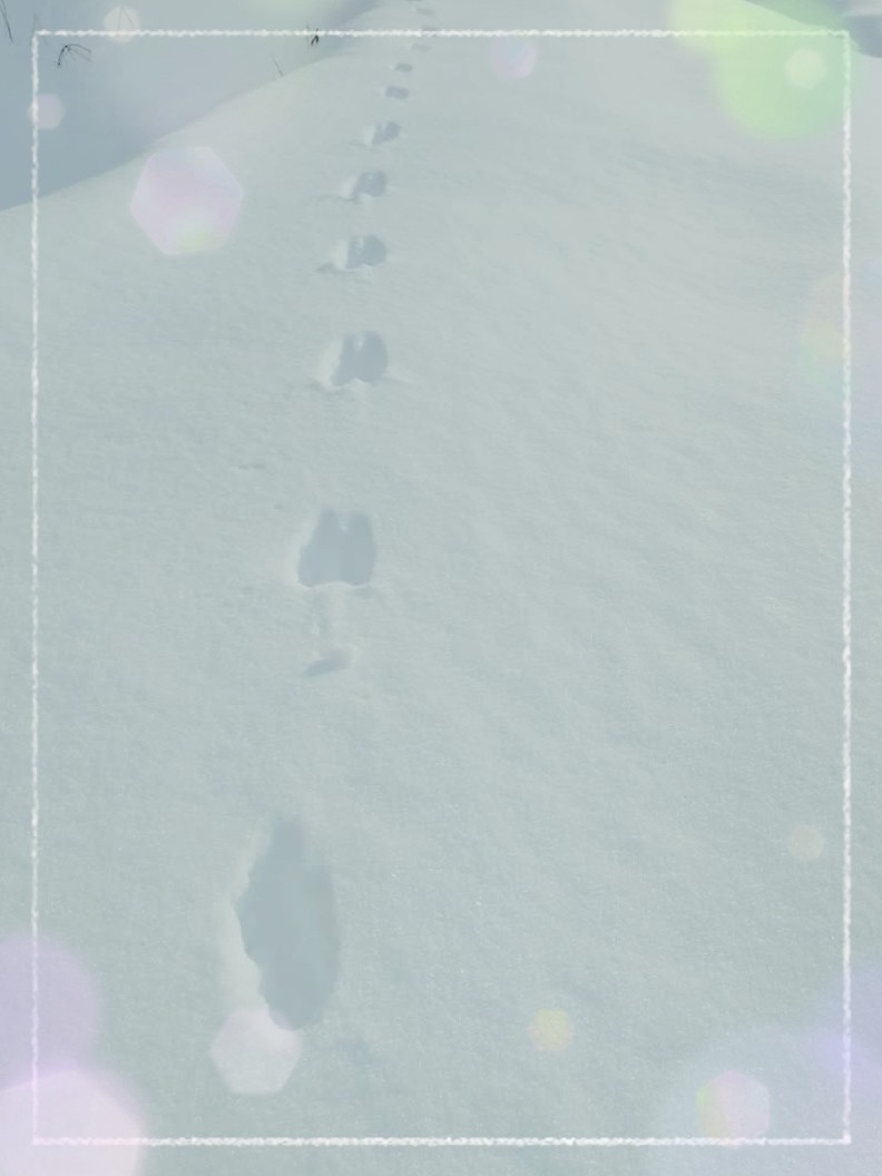 アップロード画像