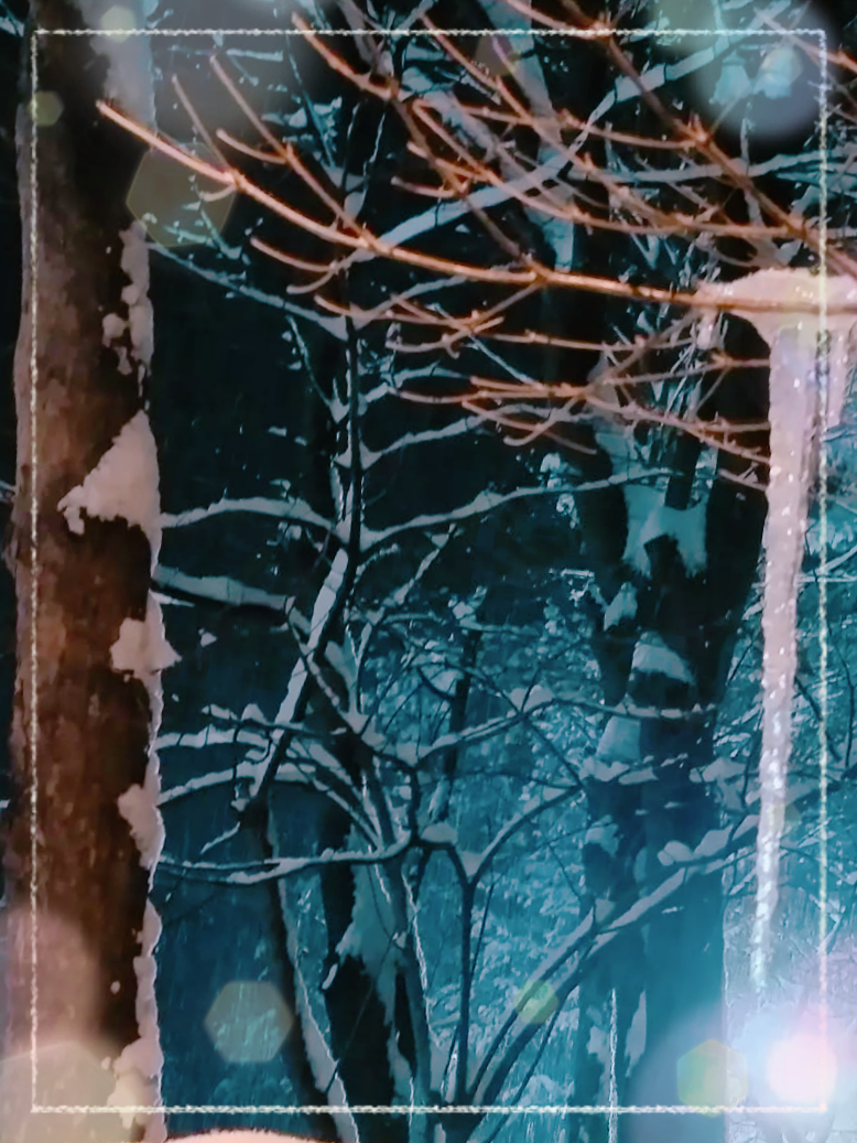 アップロード画像