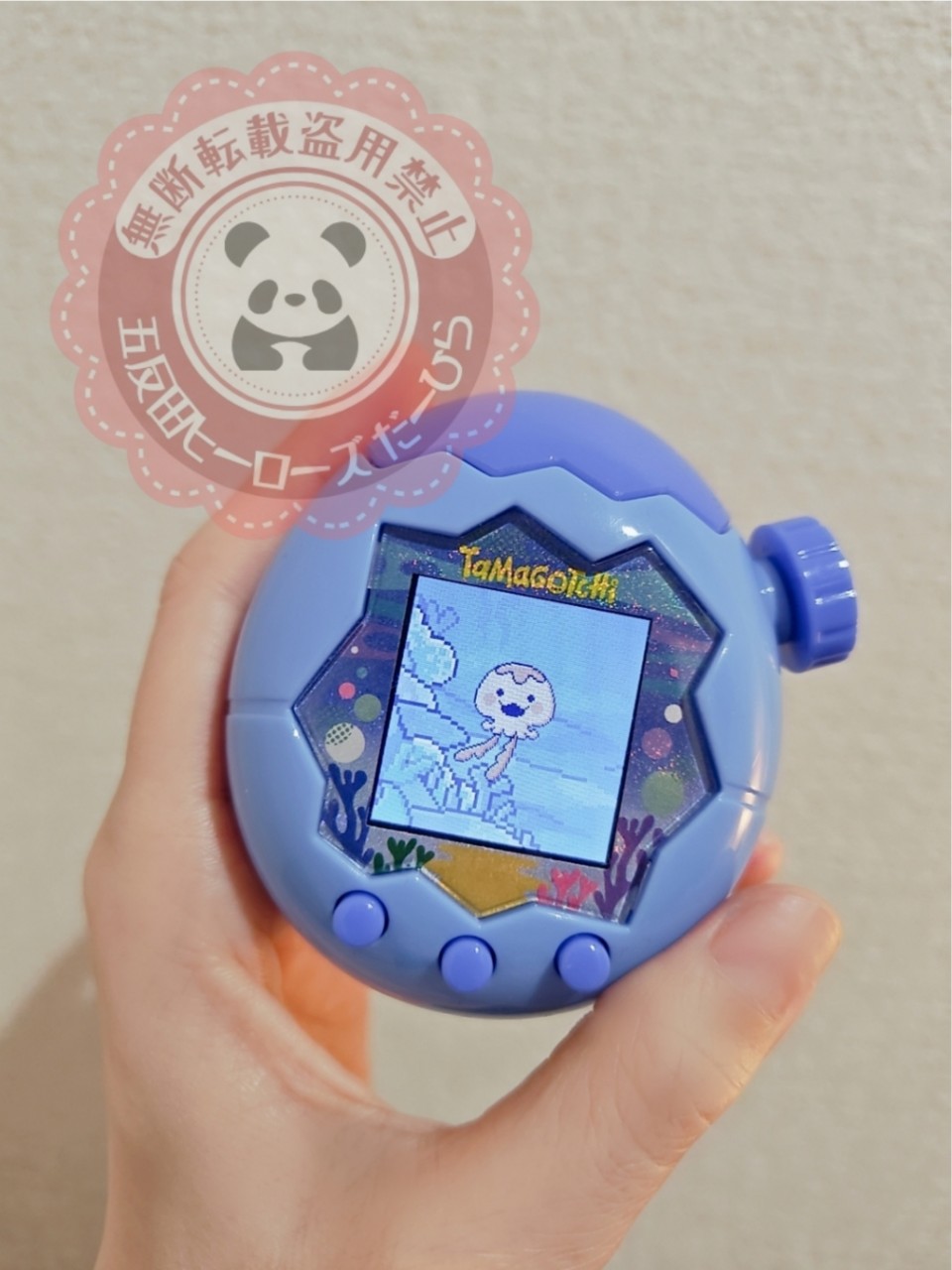 アップロード画像