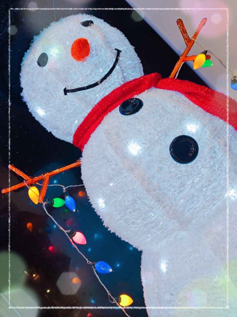 アップロード画像