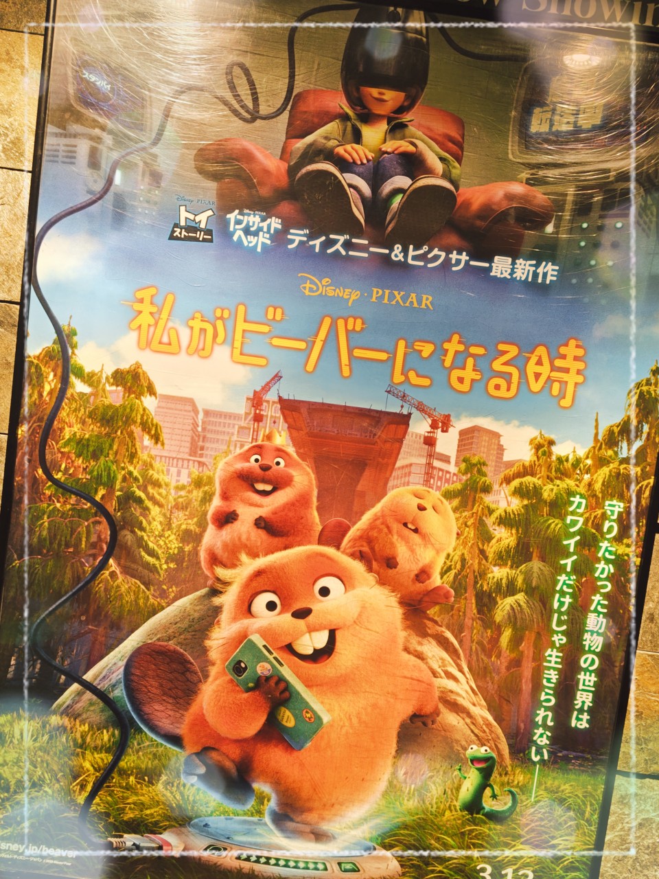 アップロード画像