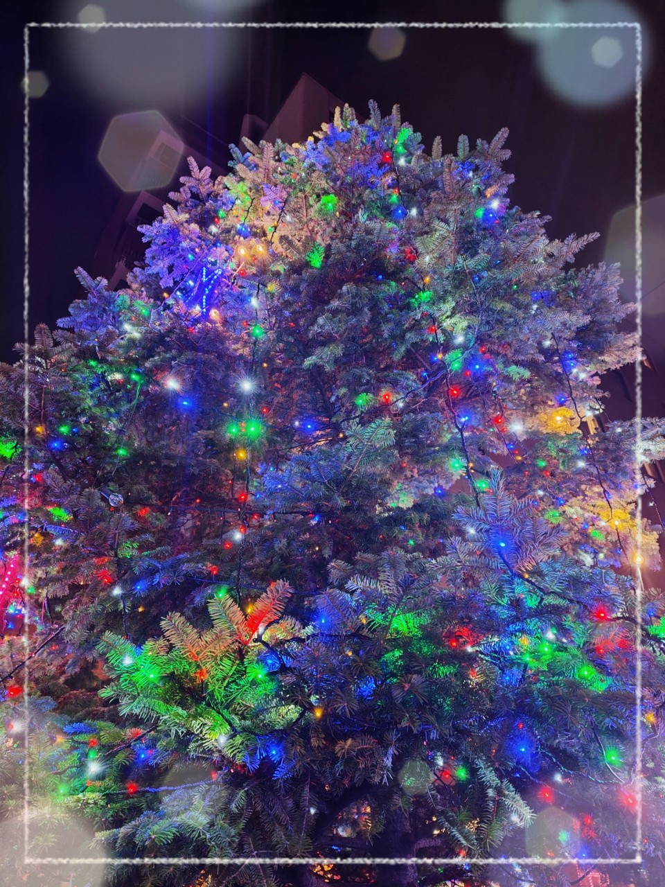 アップロード画像