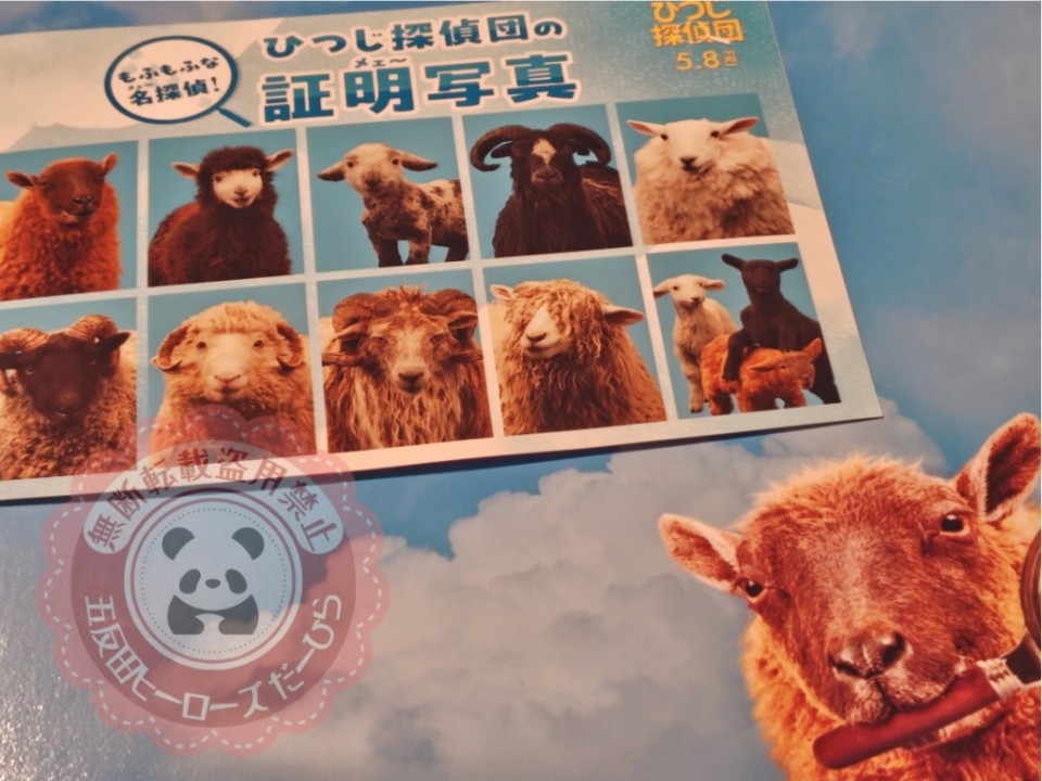 アップロード画像