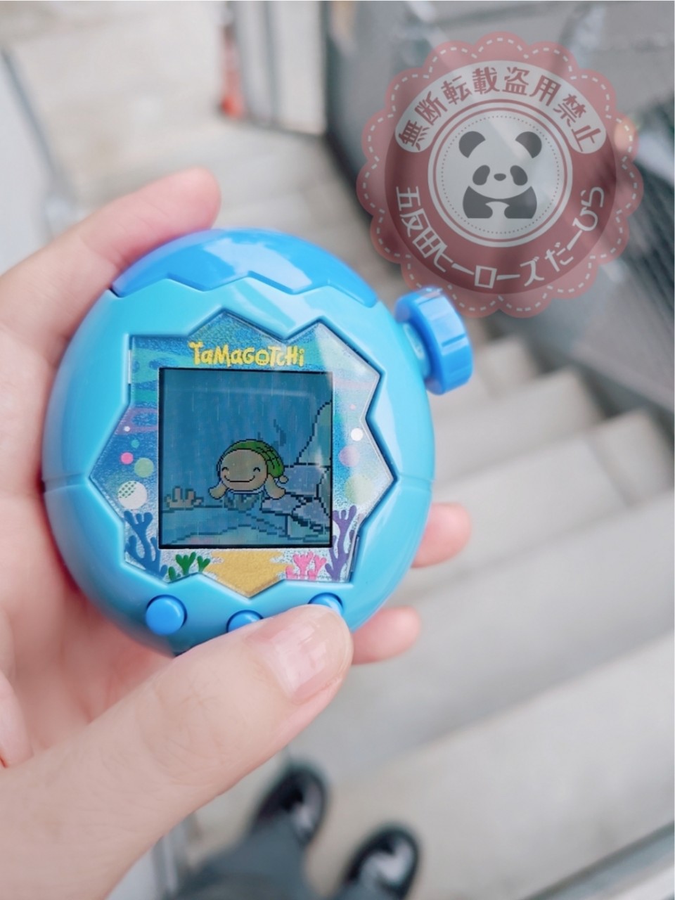 アップロード画像