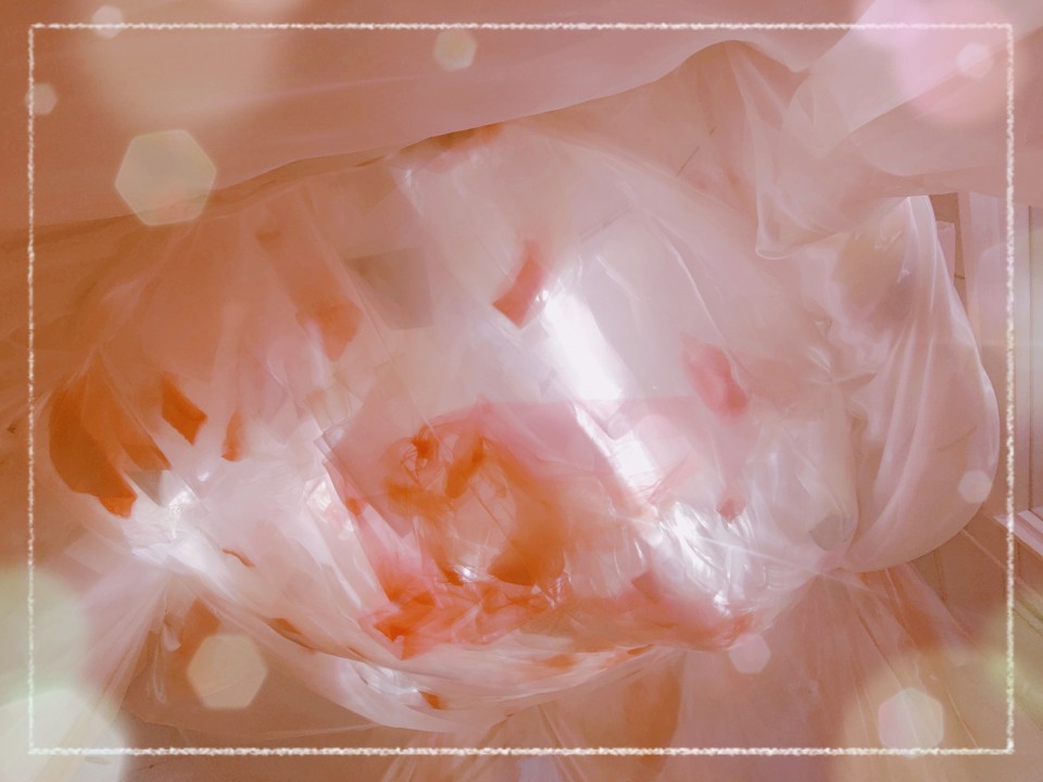 アップロード画像