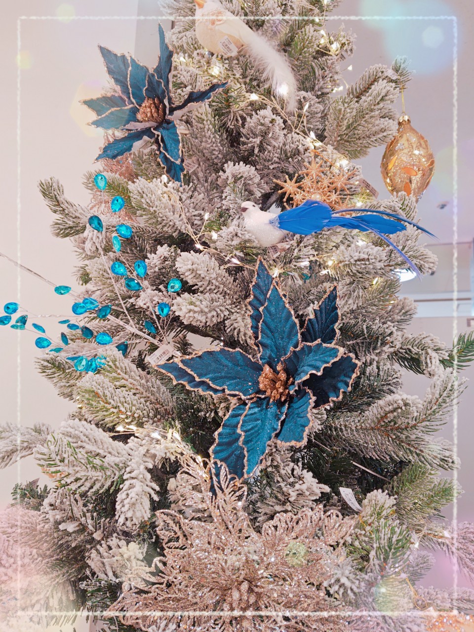 アップロード画像