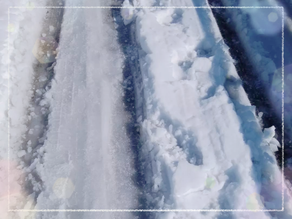 アップロード画像