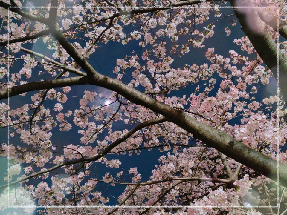 アップロード画像