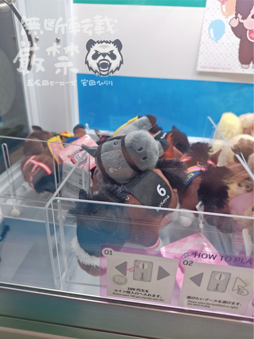 アップロード画像