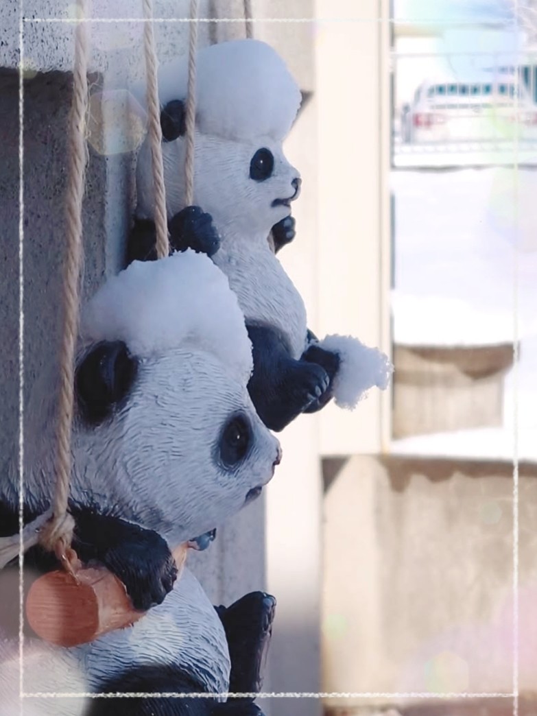 アップロード画像