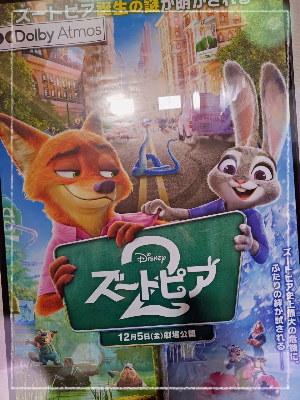 アップロード画像