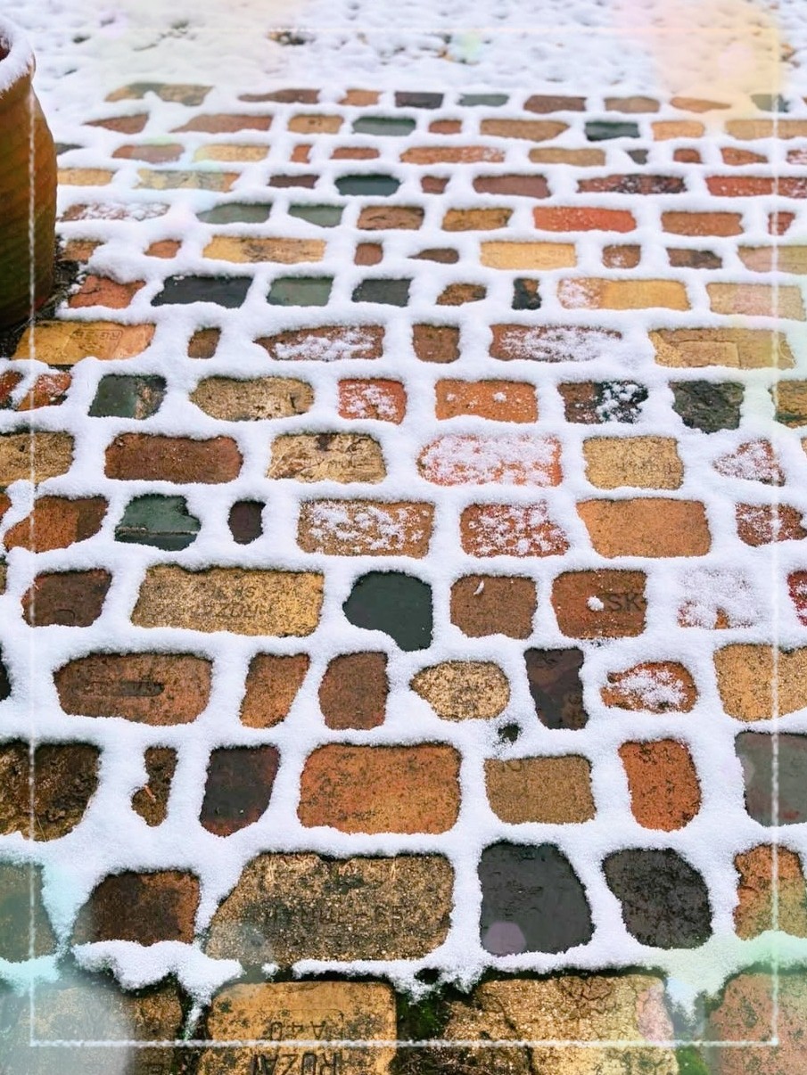 アップロード画像