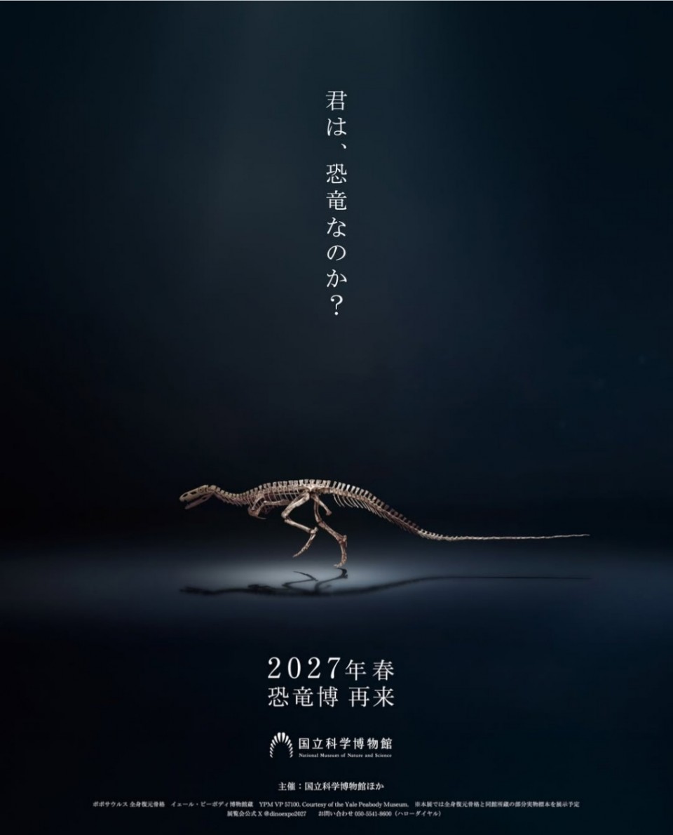 アップロード画像