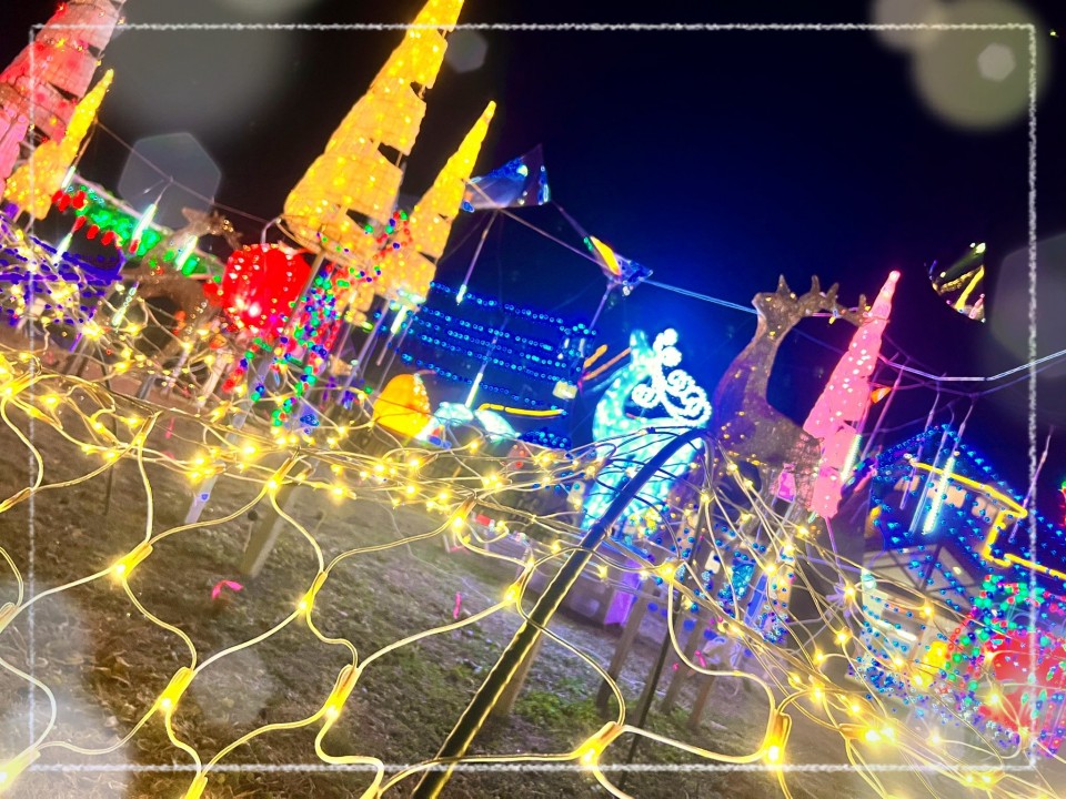 アップロード画像