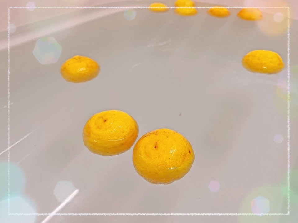 アップロード画像