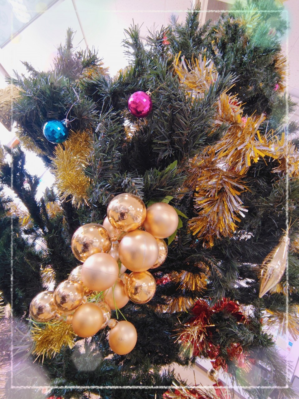 アップロード画像