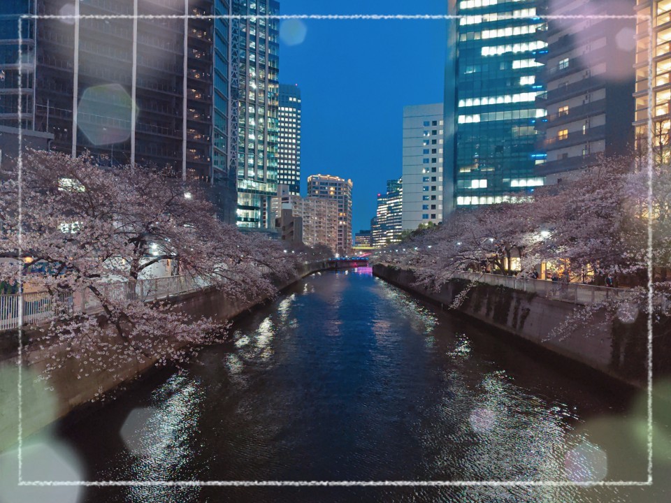 アップロード画像